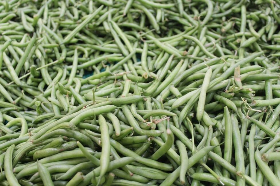 szparagi gotujemy w zimnej wodzie